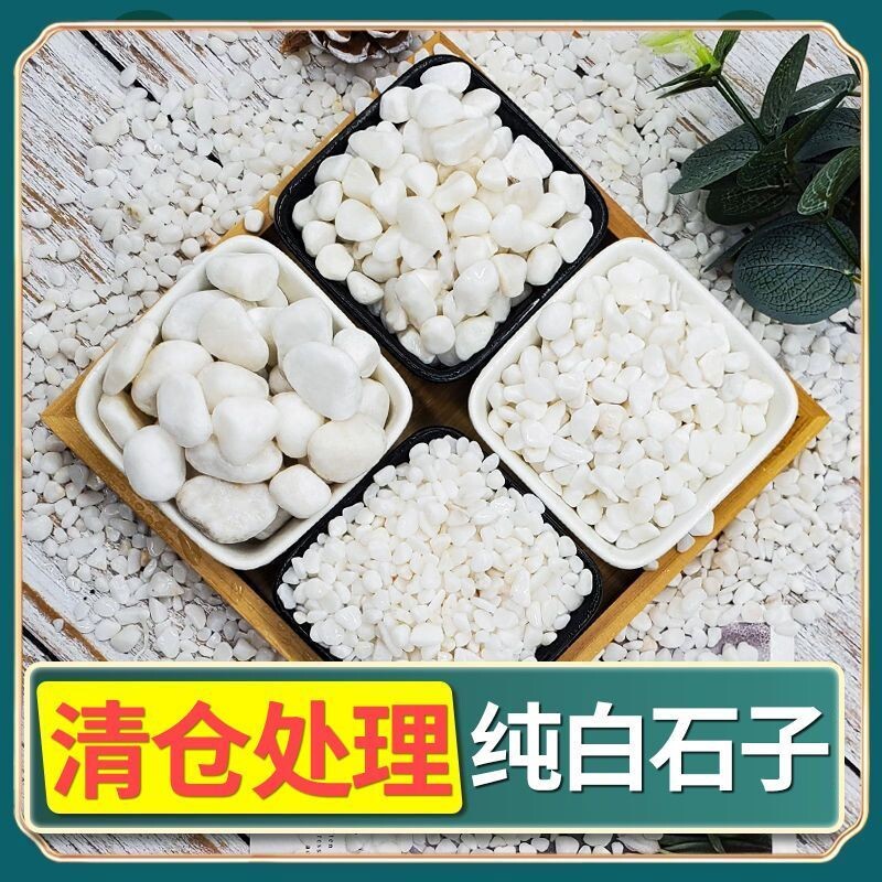 天然白石子鹅卵石雨花石小白石子庭院铺路装饰盆栽铺面五彩大石子