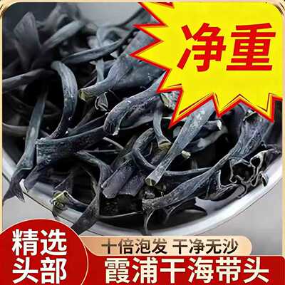 霞浦内海海带头厚度好，约15公分