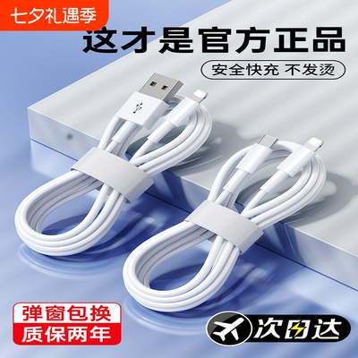 苹果数据线充电线手机适用于iPhone1615promax正品141317器PD20w11/XR快充8p车载iPad平板12闪充2米原7plus装