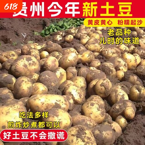 今年贵州沙面土豆新鲜