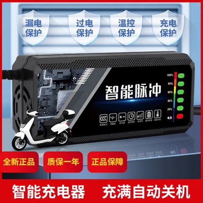 电动车电瓶充电器48v12ah60v20a72v适用于爱玛雅迪三轮铅酸石墨烯