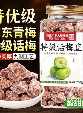 特级话梅泡水正宗九制话梅皇官方旗舰店老字号大零食干酸孕妇零食