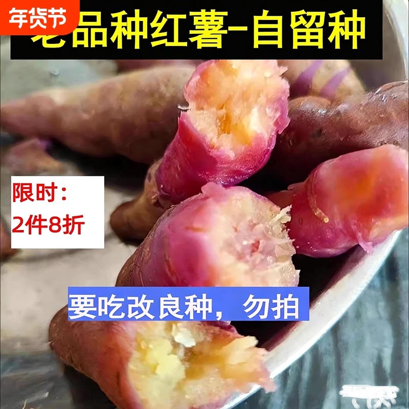 无激素杀虫药老品种红薯冰淇淋番薯一点红紫薯地瓜蔬菜土特产素食,水产肉类/新鲜蔬果/熟食,番薯,淘宝优惠券,粉丝福利购,淘宝优惠卷