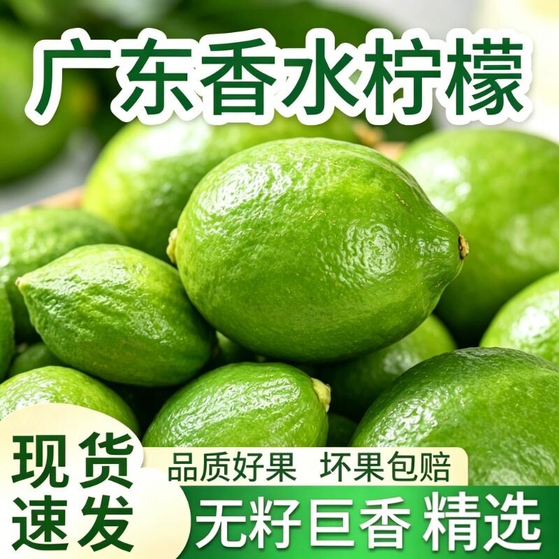 新鲜香水柠广东无籽青柠檬奶茶店用整箱清爽多汁应当季水果整箱