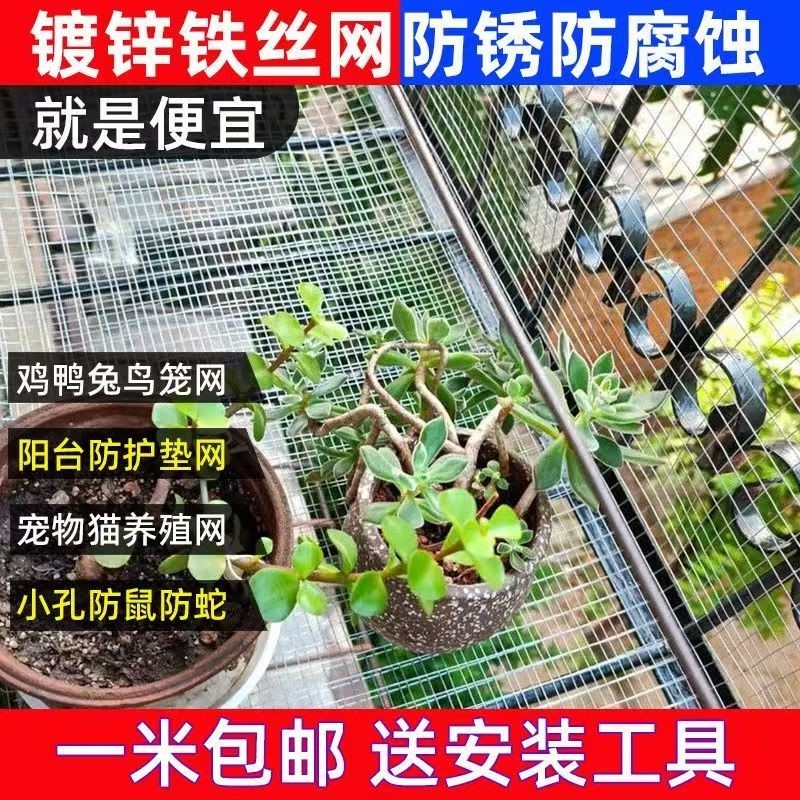 栏栅鸟笼小笼子兔笼养殖网