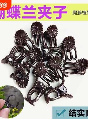 蝴蝶兰固定夹花夹子塑料花卉夹