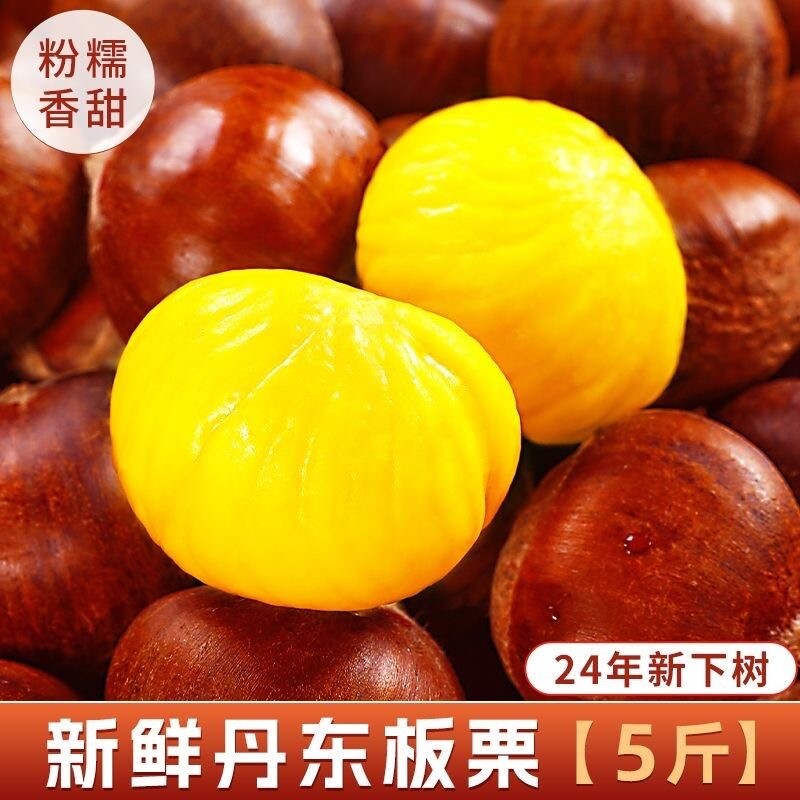 【20年老树果】辽宁丹东新鲜生现摘大板栗5斤栗子锥油栗仁蔬罗田