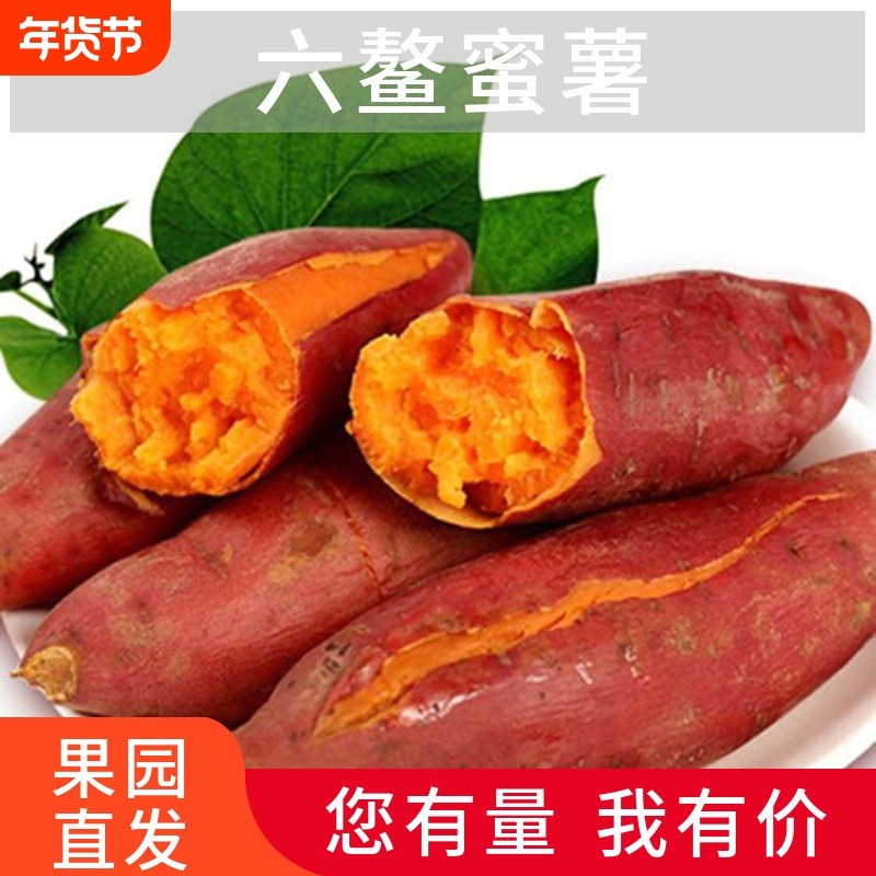 福建现摘现发六鳌蜜薯蔬菜新鲜板栗红薯番薯香甜粉糯大人孩子爱吃,水产肉类/新鲜蔬果/熟食,番薯,淘宝优惠券,粉丝福利购,淘宝优惠卷