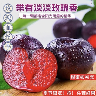 正宗黑布林大李子新鲜水果红心玫瑰血丝李子应当季现摘红肉恐龙蛋