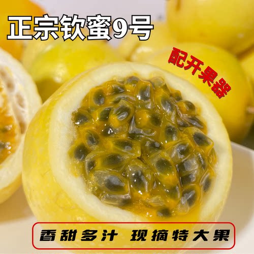福建钦蜜9号黄金百香果新鲜水果当季原浆果酱整箱包邮大果果汁