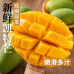 攀枝花凯特芒果新鲜水果当季时令四川特大芒果忙果甜青皮大澳芒果