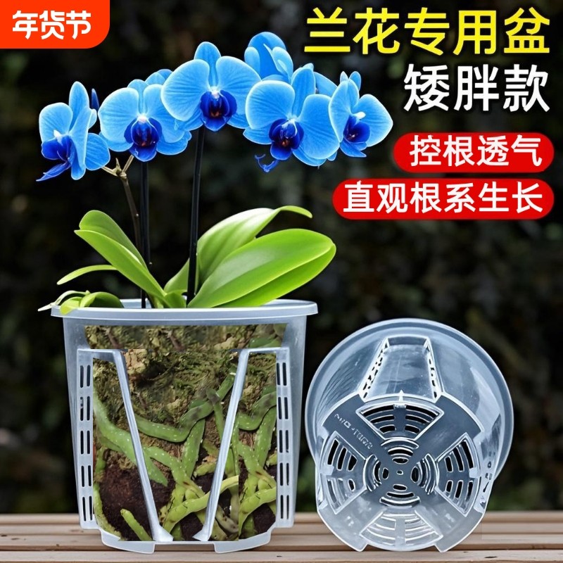 新款透明圆形矮胖盆花盆蝴蝶兰花石斛多肉叶插硬塑观根透气花盆,鲜花速递/花卉仿真/绿植园艺,花盆,淘宝优惠券,粉丝福利购,淘宝优惠卷