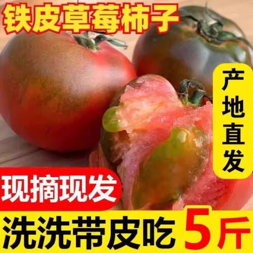正宗铁皮草莓柿子新鲜当季西红柿生吃水果东北番茄酸甜口顺丰包邮