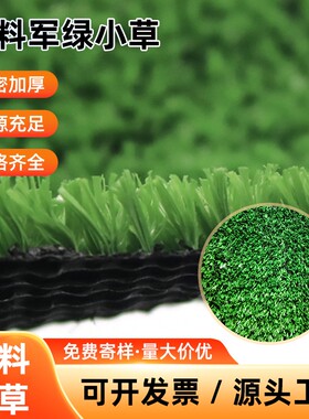 植塑料人工围挡户外绿色工地假绿草坪草皮装饰地毯人造落地楼顶