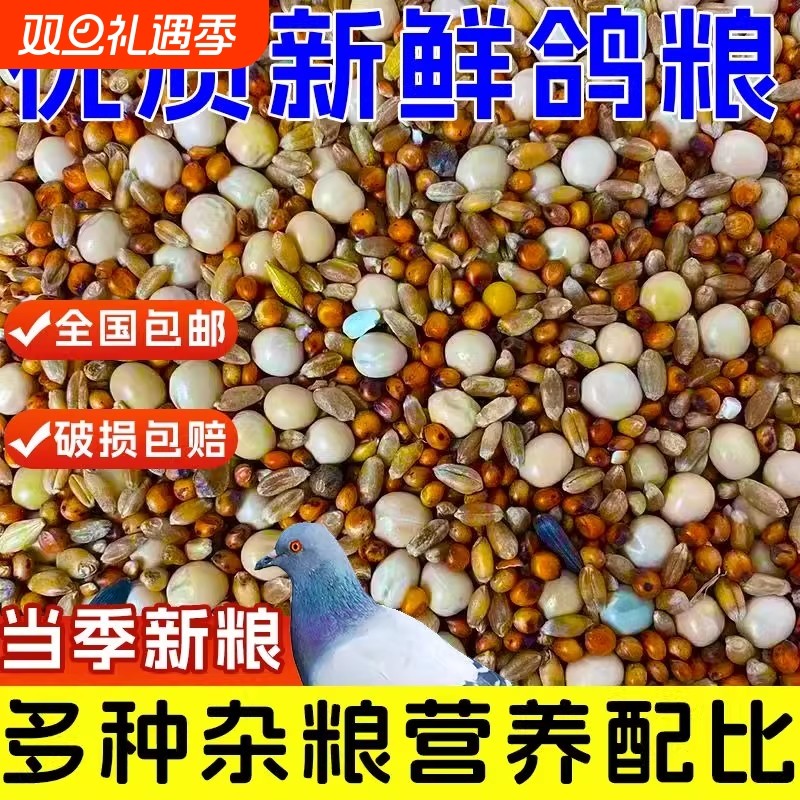 优质鸽粮玉米粮食鸟食饲料鸽子营养保健幼鸽成鸽肉鸽观赏鸽信鸽粮