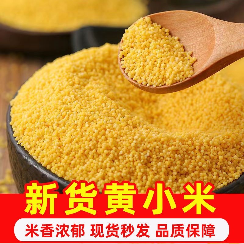 黄小米新米农家小黄米五谷杂粮糯小米粥粗粮早餐煲粥米油新货优质