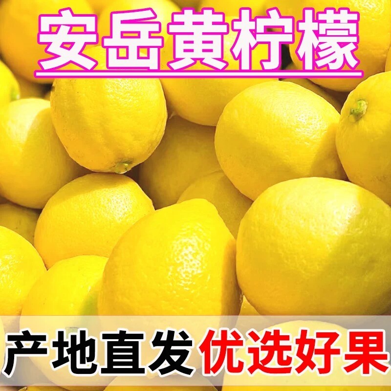 安岳黄柠檬一级鲜果新鲜皮薄汁多可选大小奶茶店推荐