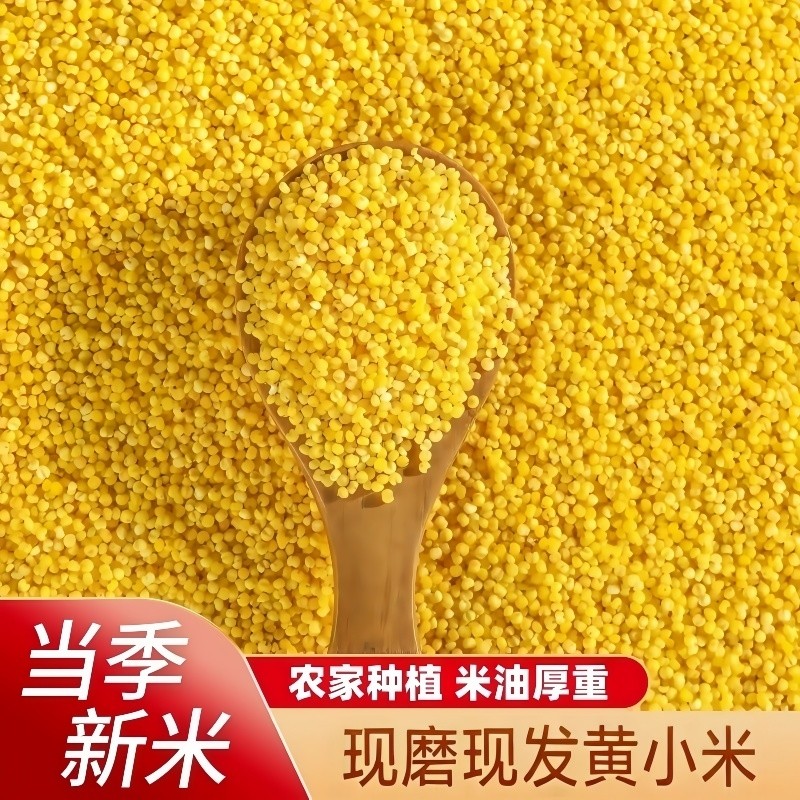 当季新米农家黄小米五谷杂粮小米粥粘糯煮粥黍米谷子米油醇厚袋装