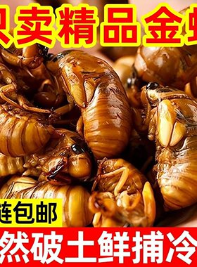 当季野生知了猴结了龟冷冻无添加