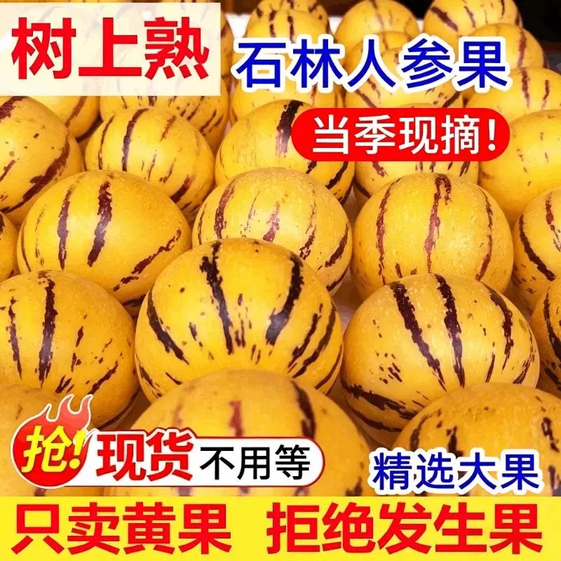 正宗石林人参果2026新鲜圆果人生果娃娃果黄肉水果C当季树上熟图片