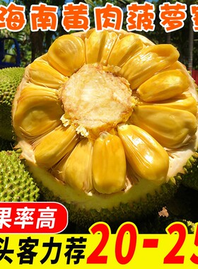 海南三亚黄肉菠萝蜜一整个大果