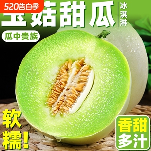 正宗山东.冰淇淋玉菇甜瓜5斤  2~3个