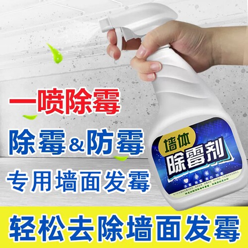家用墙体除霉剂墙面霉菌清除剂