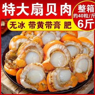 新鲜特大号扇贝肉冷冻扇贝肉海鲜红贝烧烤蒜蓉粉丝无冰衣扇贝肉