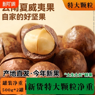 袋装 年货3斤装 奶香夏威夷果坚果零食整箱干果果仁奶油称斤罐装