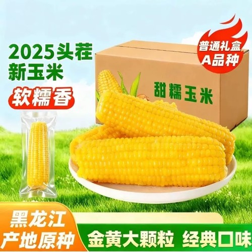 东北黄糯玉米真空装|149人收藏