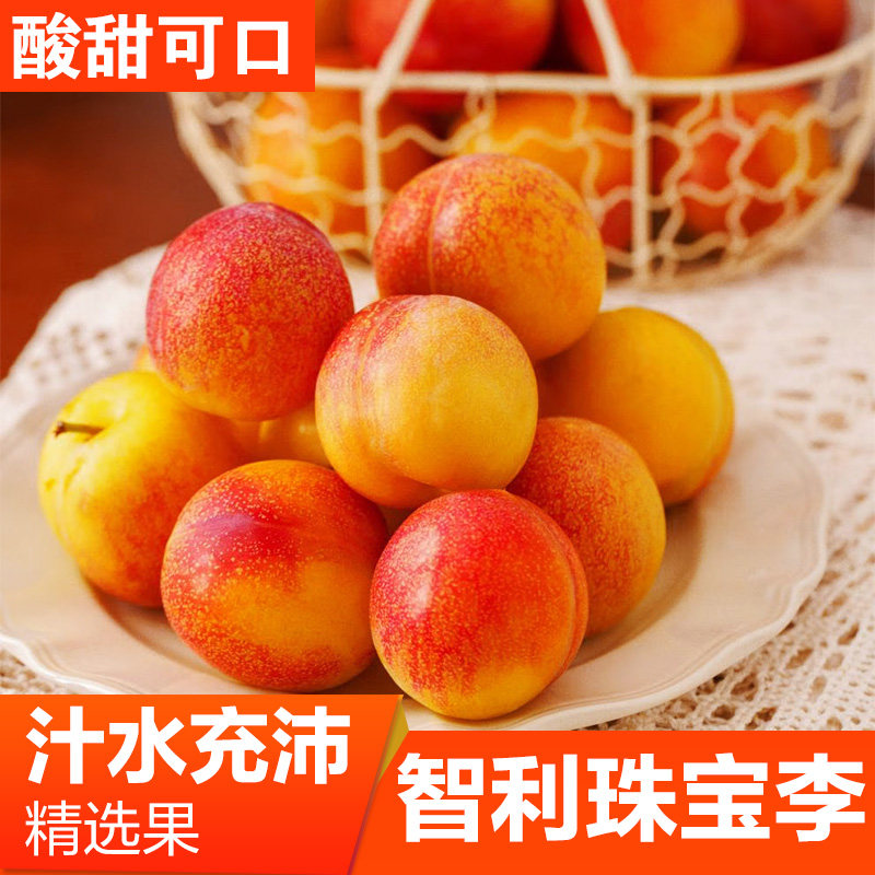 智利进口黄肉珠宝李新鲜进口李子新鲜当季孕妇水果黑布林脱骨李