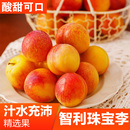孕妇水果黑布林脱骨李 智利进口黄肉珠宝李新鲜进口李子新鲜当季