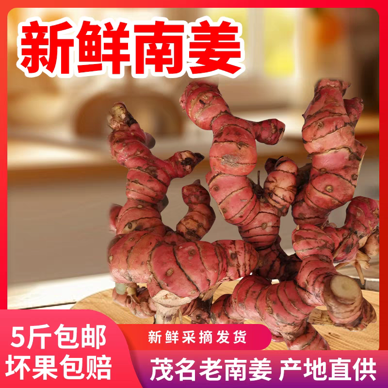 广东茂名南姜新鲜野生山姜牛羊肉火锅卤味去膻提味调料南姜