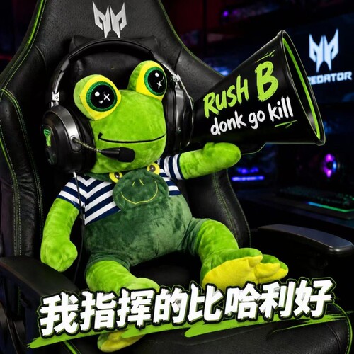 绿龙教练同款青蛙Donk指定教练