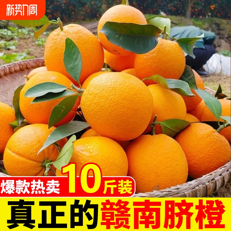 正宗赣南脐橙江西当季现摘新鲜橙子果园农场直发榨汁水果甜橙年货