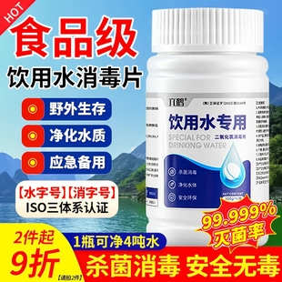 饮用水净水片户外净化水药片野外生存食品级水井水消毒粉漂白食用