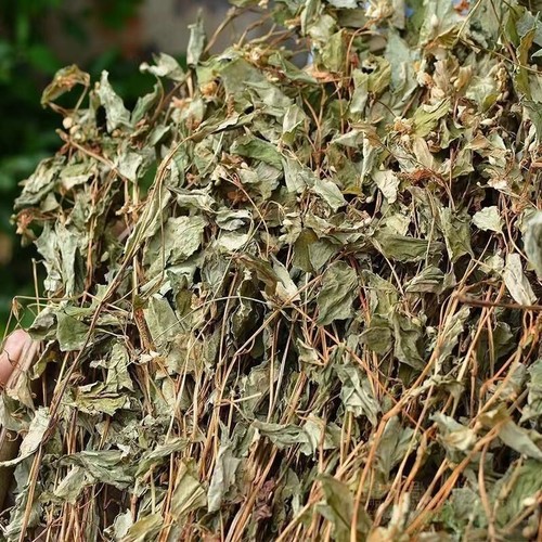 鱼腥草叶泡水喝自晒鱼腥草