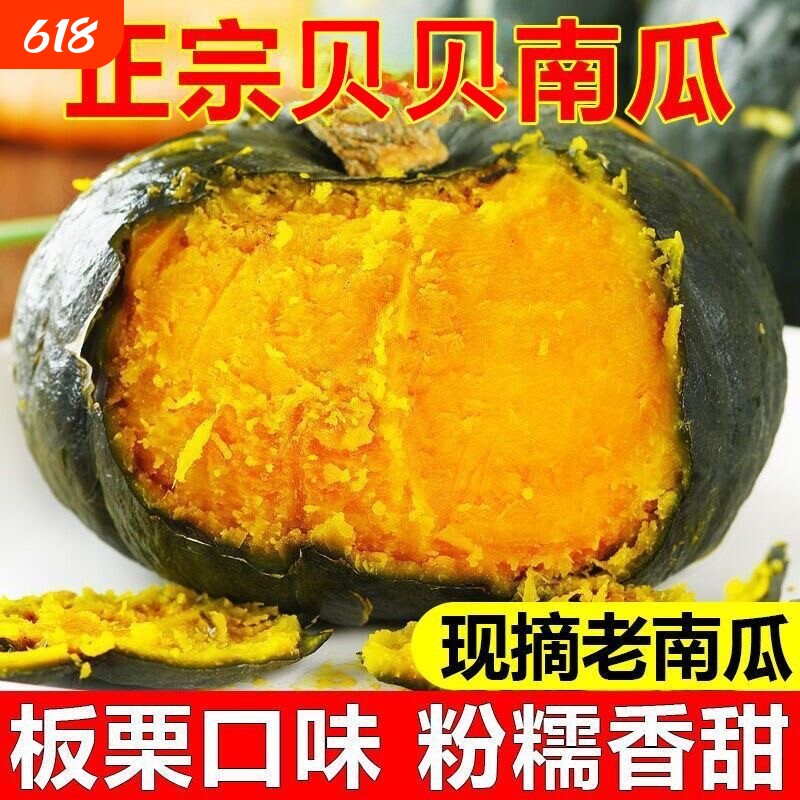 【精选贝贝南瓜】正宗南瓜老南瓜甜糯板栗小南瓜辅食新鲜软糯香甜