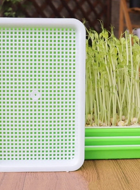 豆芽盆AB1sq0-发芽盆无土栽培蔬菜种植盘芽苗水培盒花生育苗盘