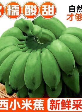 小米蕉香蕉新鲜水果当季现摘芭蕉孕妇宝宝水果青蕉直发自然熟