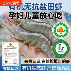有机盐田虾无抗大虾鲜活速冻渤海对虾白虾生鲜盒装冷冻海鲜水产