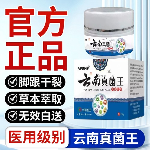 【胖东来热销】云南真菌王