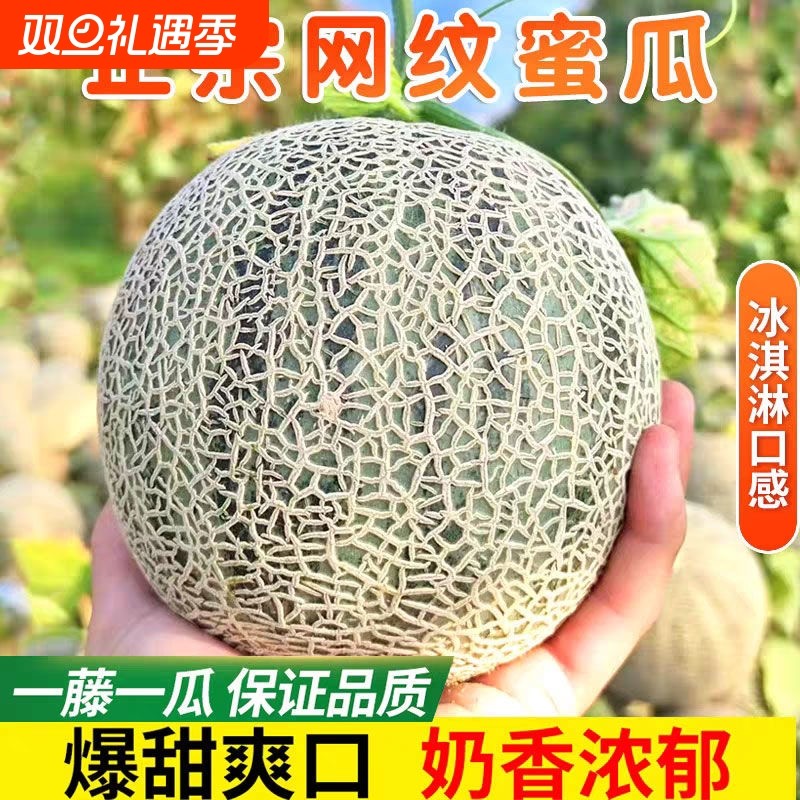 正宗海南网纹蜜瓜冰淇淋玫珑瓜香甜瓜哈密瓜白瓜新鲜现摘当季水果