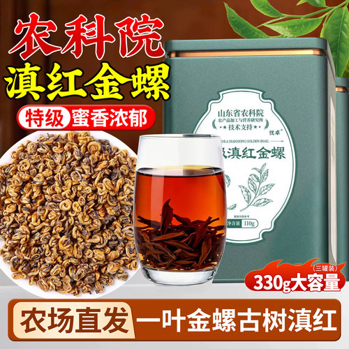 滇红金螺特级蜜香2026新茶浓香型金螺滇红红茶正宗云南凤庆古树
