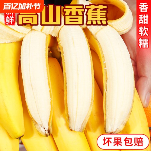 云南高山甜香蕉新鲜现摘当季水果