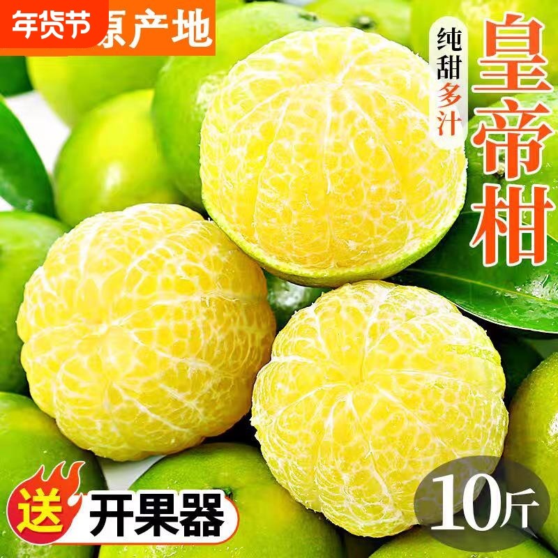 广西应季皇帝柑薄皮多汁热带贡柑橘子新鲜现摘孕妇香甜水果整箱沃,水产肉类/新鲜蔬果/熟食,桔子,淘宝优惠券,粉丝福利购,淘宝优惠卷