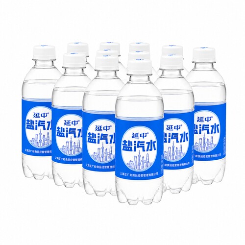 延中盐汽水 碳酸饮料饮品咸口味含盐汽水 380ml*12瓶 原味