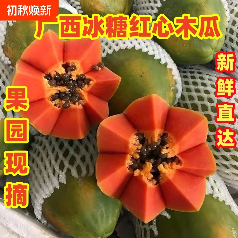 广西牛奶冰糖红心木瓜9斤装新鲜采摘直发当季水果软嫩多汁好吃的