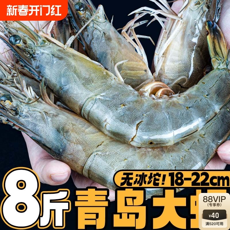 1500g 15-18cm Ϻ�ʻ��ٶ������ش��ൺ��Ϻ�䶳��ΧϺ�����Ϻ����Ϻ�ຣ��ˮ��