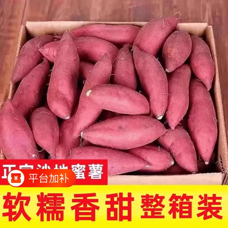 沙地板栗地瓜红薯新鲜蜜薯番薯糖心山芋入口现挖农家自种龙九黄心